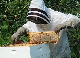 Foto de AA BEE REMOVALS