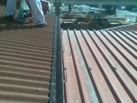 Fotos de Bird Control Cape Town (Bird Repel Services)