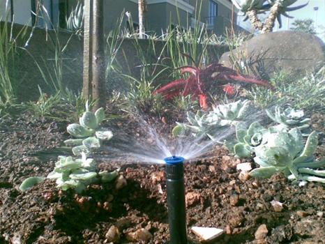 Fotos de Blue Line Watering Tecnology