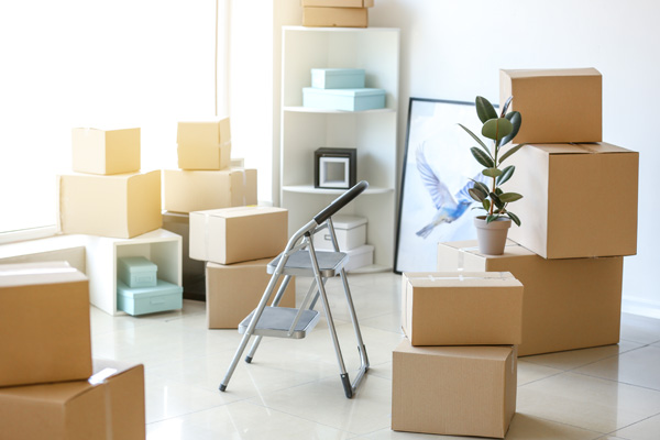Foto de Cundun Moving company Johannesburg And Capetown