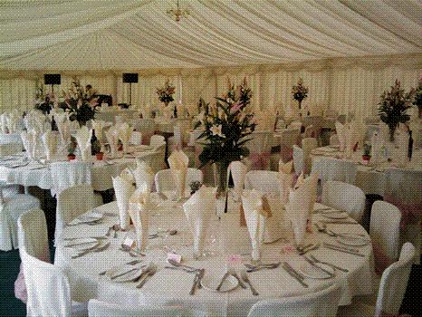 dees marquee & chair hire c.c Durban