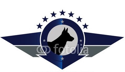 Foto de Delta Force Security Services