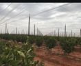 EchoSHADE Net Construction (Pty) Limited SOUTH AFRICA Nelspruit