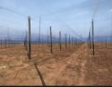 Foto de EchoSHADE Net Construction (Pty) Limited SOUTH AFRICA