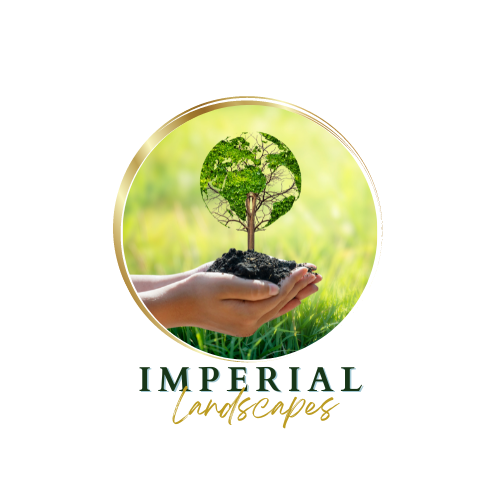 Imperial Landscapes Pretoria
