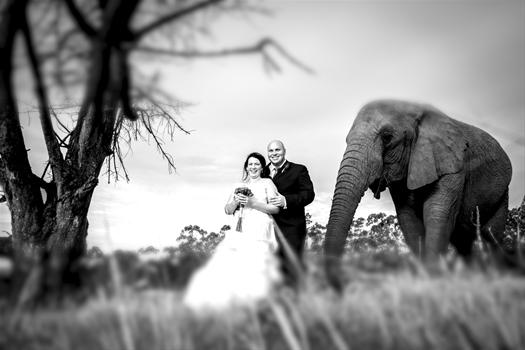 Jacey Searra Photography Knysna