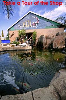 Loolilocks Koi Farms Boksburg