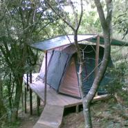 Foto de Peace of Eden Travelers Lodge, Backpackers, & Self Cater Chalets