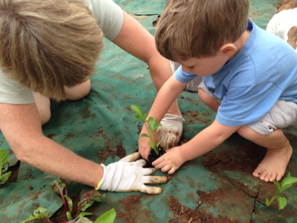 Place To Grow Cape Town