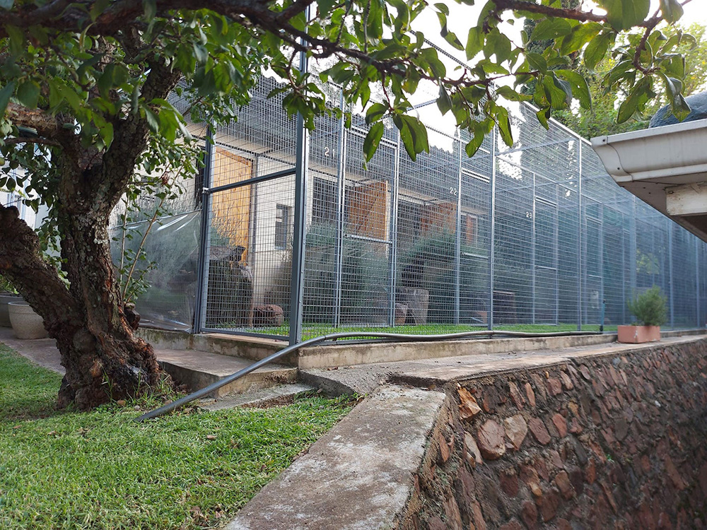 Foto de Purrfect Place Cat Hotel