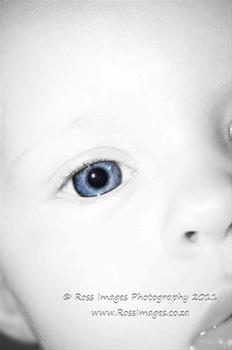 Ross Images Photography Pretoria