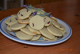 Fotos de Shauns Table