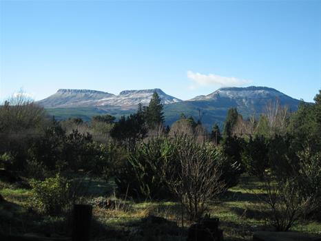 Foto de Umzantsi Afrika Tours
