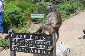 Foto de Way 2 Go Shuttle Service and Tours Cape Town